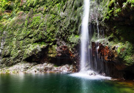 Téléchargez les photos : Sentier de randonnée avec forêt à Levada do Caldeirao Verde Sentier de cascade - paysages tropicaux sur l'île de Madère, Santana, Portugal. - en image libre de droit