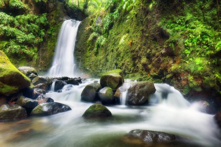 Téléchargez les photos : Belles chutes d'eau des Açores - Salto do Prego, ruisseau vert en forêt tropicale - en image libre de droit