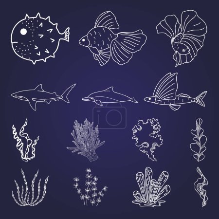 Téléchargez les illustrations : Dessin aux gribouillis linéaires de poissons de mer, algues - en licence libre de droit