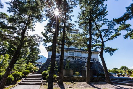 Téléchargez les photos : Château de Shimabara dans la préfecture de Nagasaki, Kyushu - en image libre de droit