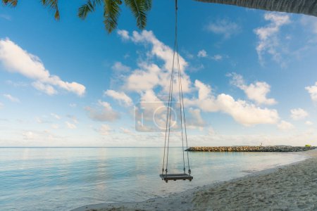Swing hangs under coconut tree in beautiful tropical Maldives beach in Massfushi Island, Maldives
