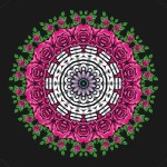 Mandala abstract ornate flower concept for element design