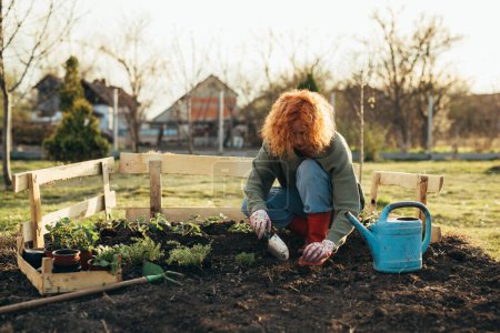 Téléchargez les photos : Femme creuse des trous pour les plantes - en image libre de droit