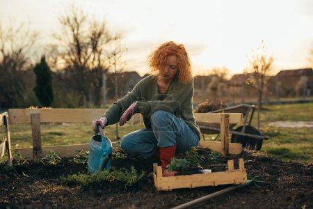 Téléchargez les photos : Femme mûre arrose les plantes - en image libre de droit