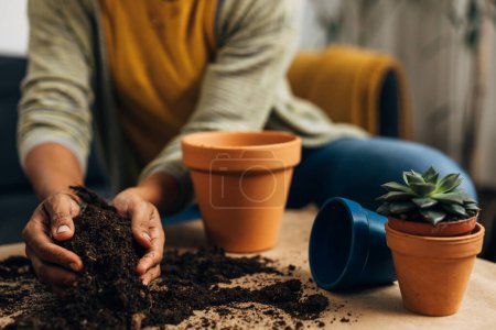 Téléchargez les photos : Hands collect soil for planting flowers - en image libre de droit