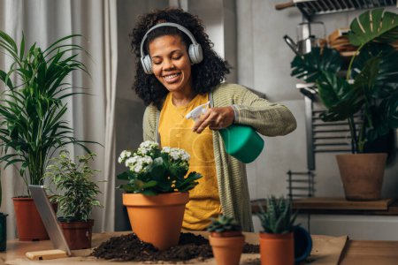 Téléchargez les photos : Une femme joyeuse assèche ses plantes d'intérieur - en image libre de droit