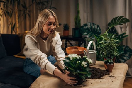 Téléchargez les photos : Une jeune femme blonde tient doucement une plante - en image libre de droit