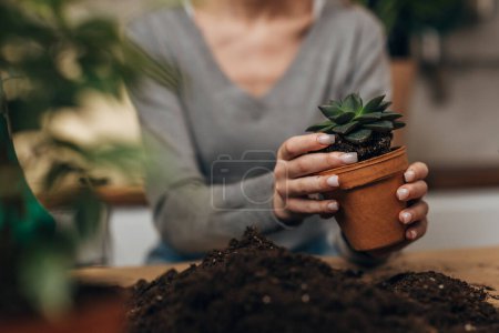 Photo for Hand is carefully placing a plant in a pot - Royalty Free Image