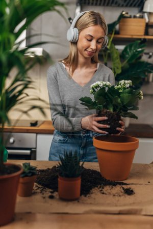 Téléchargez les photos : Jeune femme empoter une plante à la maison - en image libre de droit