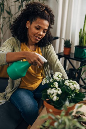 Photo for A woman takes care of her houseplants - Royalty Free Image