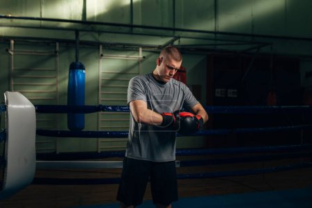 Foto de Un boxeador se pone sus guantes de boxeo y se para en el ring - Imagen libre de derechos