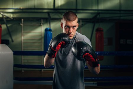 Téléchargez les photos : Portrait d'un boxeur caucasien masculin avec des gants de boxe debout en position de garde - en image libre de droit