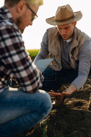Photo for Closeup view of two owners of workers checking the fertility of the soil in the field - Royalty Free Image