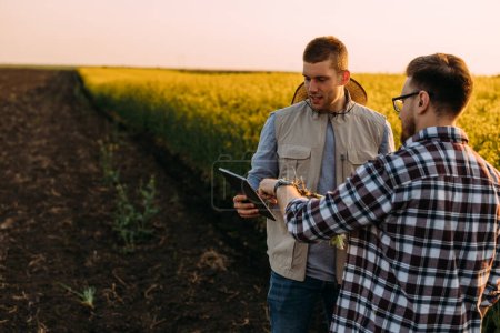 Téléchargez les photos : Deux encadreurs utilisant la technologie pour analyser la plante de colza oléagineux - en image libre de droit