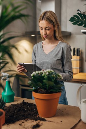 Téléchargez les photos : Une jeune femme caucasienne cherche des instructions sur la façon de prendre soin des plantes d'intérieur. - en image libre de droit