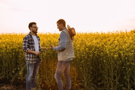 Photo for Two farmers standing next to the oilseed rape plantation - Royalty Free Image