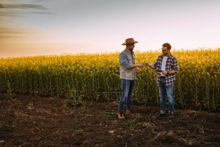Photo for Two farmers working in the field together. Inspecting - Royalty Free Image