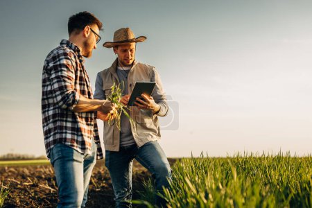 Deux agriculteurs utilisent la technologie pour examiner une plante.