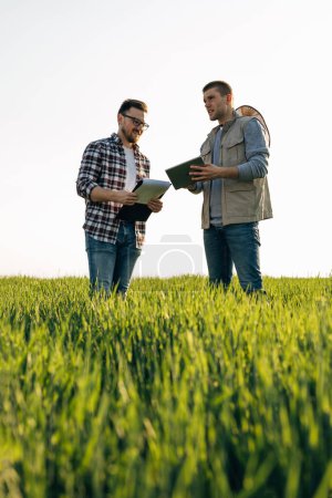 Foto de Dos hombres de pie en el campo de trigo y monitoreando el progreso con tableta digital. - Imagen libre de derechos