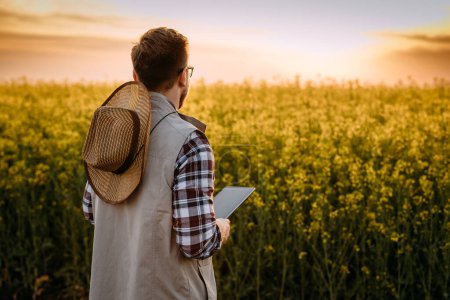 Téléchargez les photos : Vue arrière d'un agriculteur caucasien debout devant le champ au coucher du soleil. - en image libre de droit