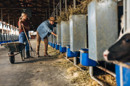 Téléchargez les photos : Deux personnes caucasiennes travaillant dans une ferme animale. - en image libre de droit