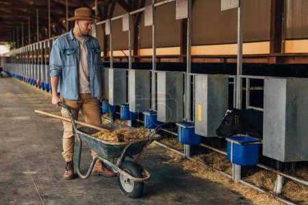 Téléchargez les photos : Un homme travaille à la ferme animale. - en image libre de droit