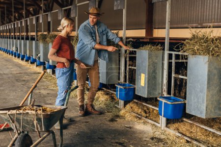 Téléchargez les photos : Un homme et une femme travaillent à la ferme animalière. - en image libre de droit