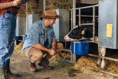 Téléchargez les photos : Un homme aime travailler avec des animaux à la ferme. - en image libre de droit