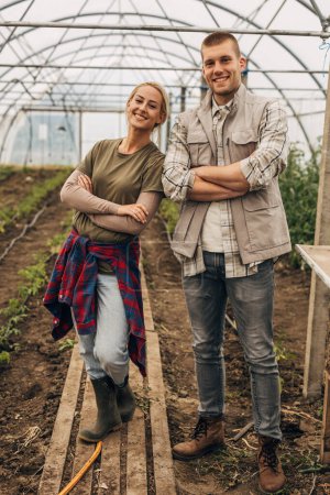 Foto de Vista frontal de dos agricultores en el invernadero - Imagen libre de derechos