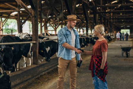 Foto de Un hombre y una mujer estrechando las manos en un establo con vacas. - Imagen libre de derechos