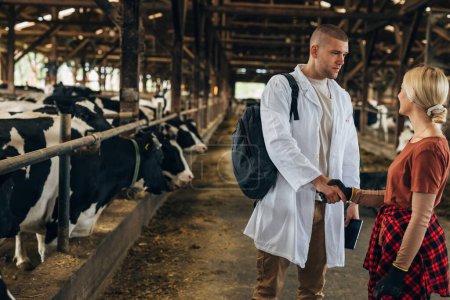 Foto de Apretón de manos entre un veterinario y una vaquera en un granero. - Imagen libre de derechos