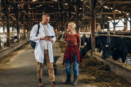 Foto de Una agricultora y un veterinario hablan de la salud del ganado en una granja. - Imagen libre de derechos