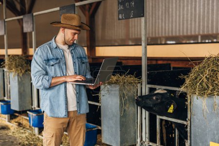 Téléchargez les photos : Un agriculteur se tient dans une écurie et utilise un ordinateur portable. - en image libre de droit