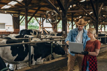 Foto de Dos granjeros usando computadora en un establo. - Imagen libre de derechos