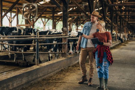 Téléchargez les photos : Agriculteurs masculins et féminins inspectant les bovins ensemble à l'aide d'une tablette numérique. - en image libre de droit