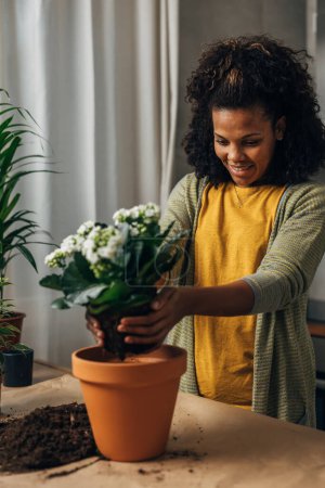 Téléchargez les photos : Heureuse femme multiraciale met en pot ses plantes d'intérieur. - en image libre de droit