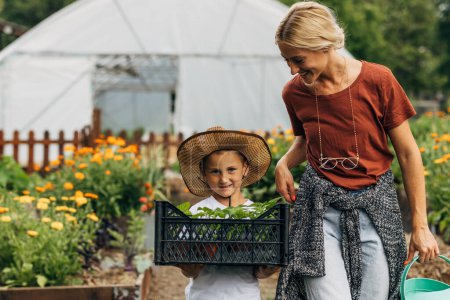 Téléchargez les photos : Un jeune garçon porte une caisse avec des plantes pour sa mère. Ils travaillent ensemble dans le jardin. - en image libre de droit