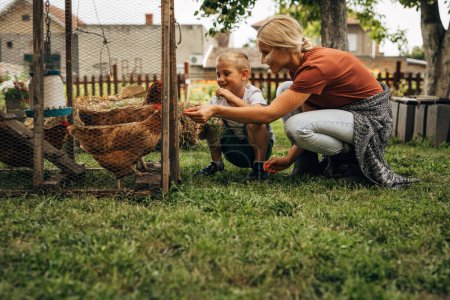 Photo for Mother and her son are feeding their chickens with grass. - Royalty Free Image