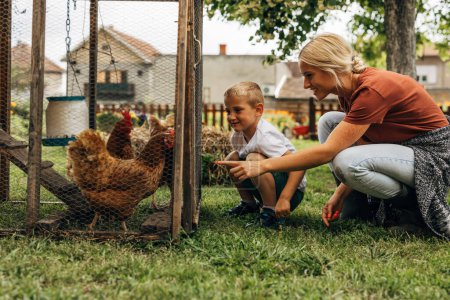 Foto de Pequeño niño le encanta mirar a los pollos en el jardín con su madre. - Imagen libre de derechos