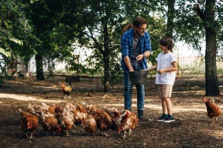 Photo for Father and son are feeding chickens together. - Royalty Free Image