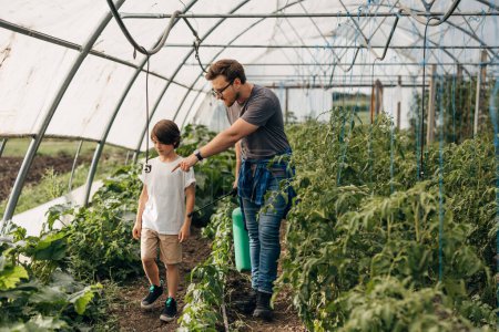 Photo for Father teaches his son about taking care of vegetables in the greenhouse. - Royalty Free Image