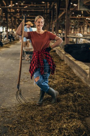 Téléchargez les photos : Vue de face d'une belle cow-girl nettoyant l'écurie avec une fourchette à foin. - en image libre de droit