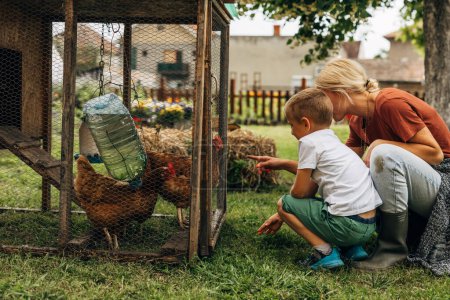 Foto de Madre e hijo están despertando a los pollos en un gallinero juntos. - Imagen libre de derechos