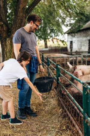Photo for Father and son feeding pigs together. - Royalty Free Image