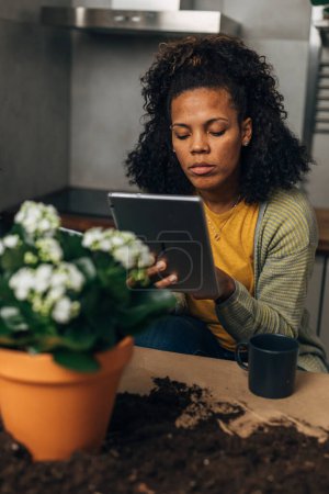 Photo for Closeup view of a woman using a digital tablet while potting a plant. - Royalty Free Image