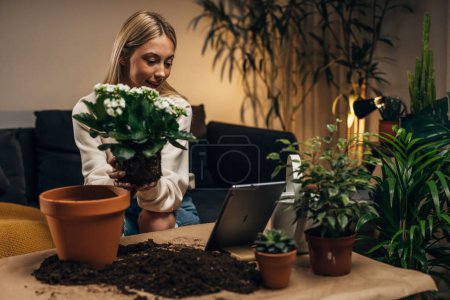 Téléchargez les photos : Jeune femme fait un tutoriel comment replanter des plantes d'intérieur à la maison. - en image libre de droit