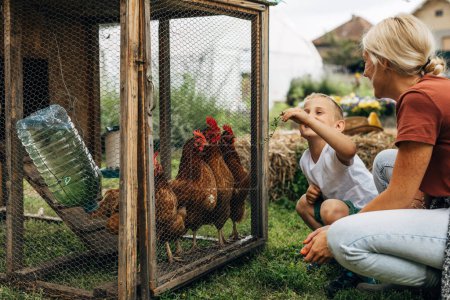 Foto de Chico alegre alimenta a los pollos con hierba fresca. Su madre se está divirtiendo con él.. - Imagen libre de derechos