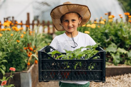 Foto de Joven chico caucásico llevando cajón con plantas a través del jardín ecológico. - Imagen libre de derechos