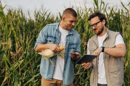 Téléchargez les photos : Vue de face de deux personnes faisant des tests sur une culture de maïs dans le champ. - en image libre de droit