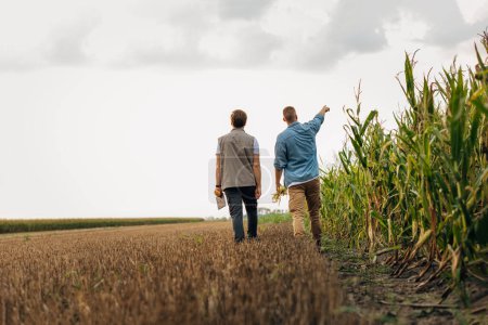 Foto de Vista trasera de dos hombres caminando en tierras de cultivo. - Imagen libre de derechos